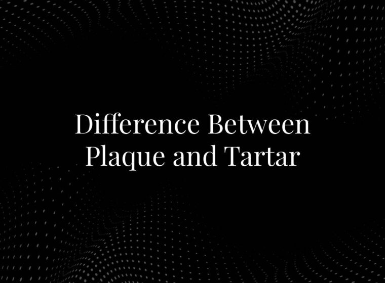 Difference Between Plaque and Tartar