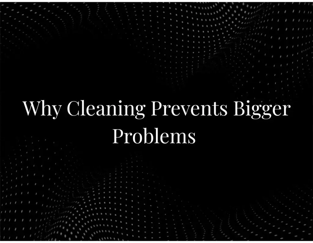 Why Cleaning Prevents Bigger Problems